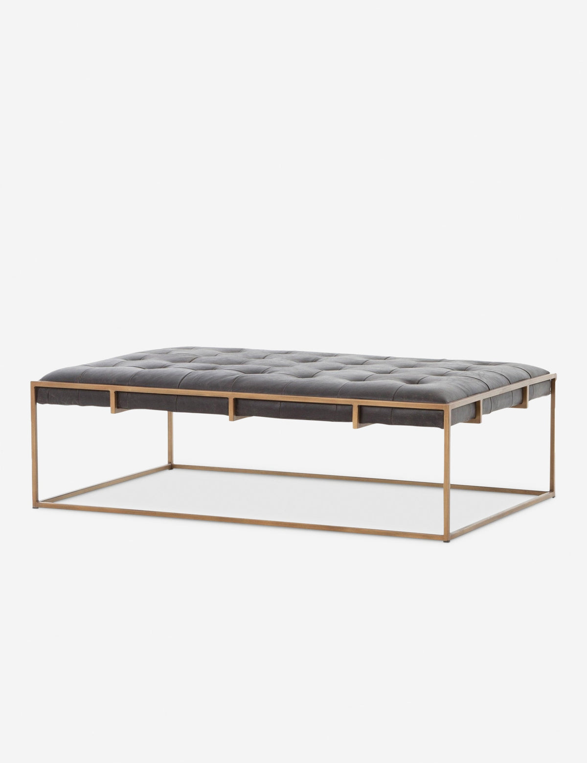 Olwina Leather Coffee Table
