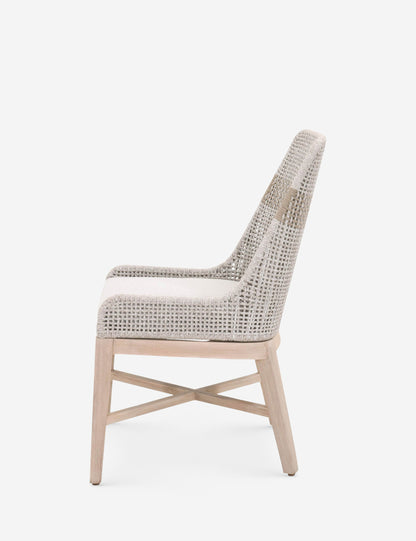 Panorama Indoor / Outdoor Dining Chair (Set of 2)