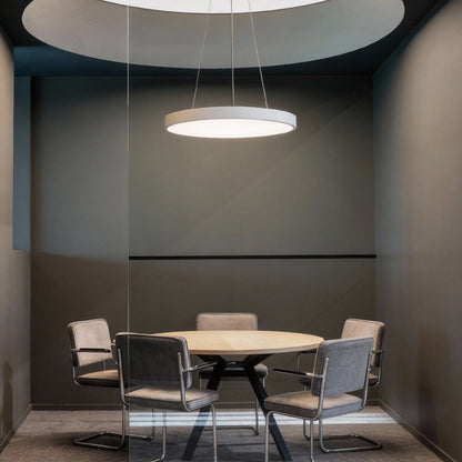 [Open-Box]Round Pendant Lights Minimalist Metal Ceiling Light